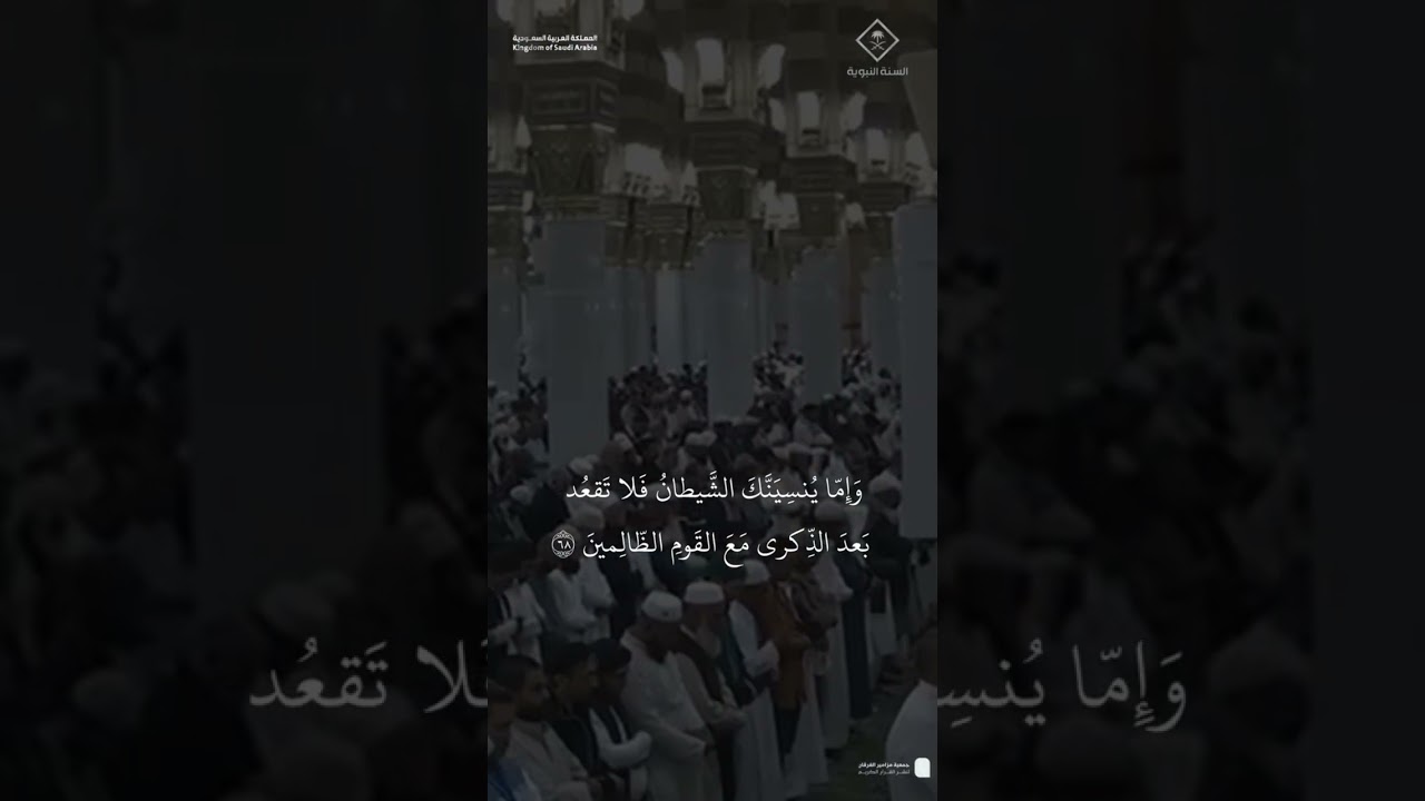 تصاميم قصيرة من الحرم النبوي | شهر شعبان 1446هـ الحلقة الثالثة