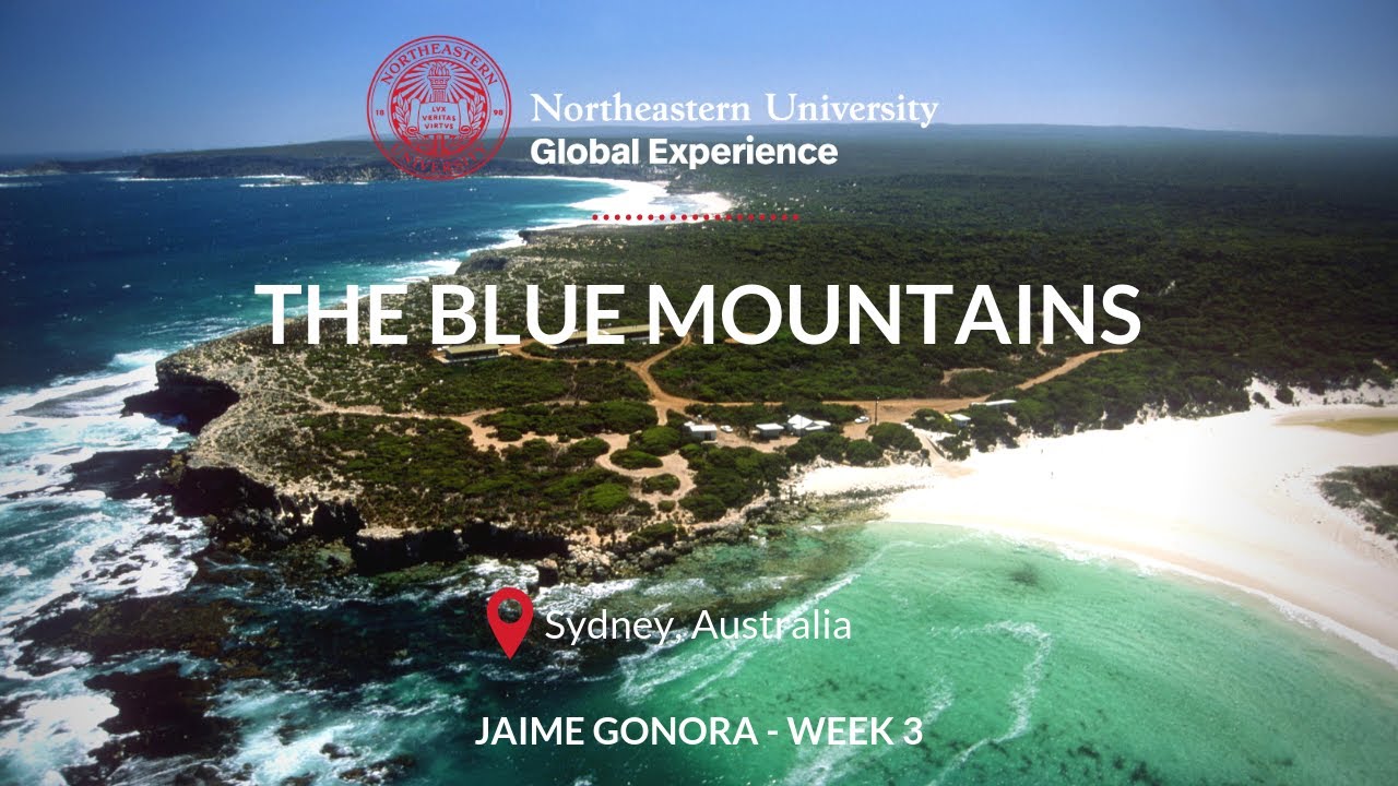 The Blue Mountains - Jaime Gonora - Week 3