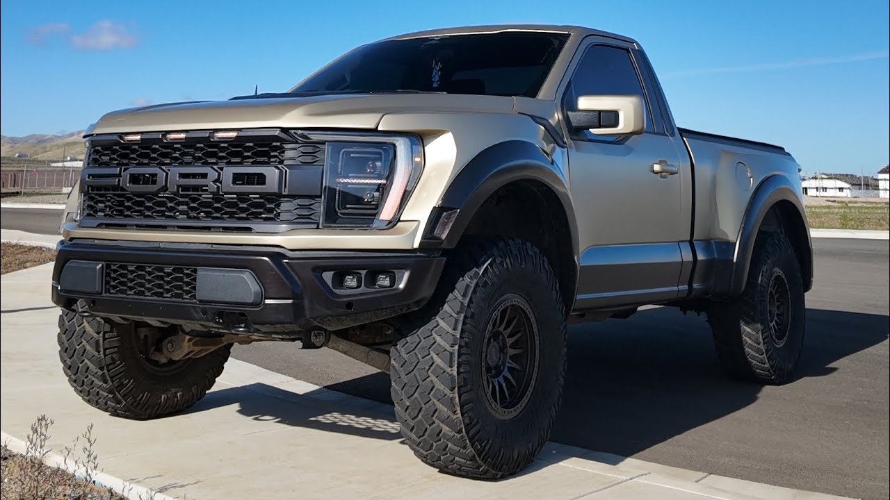 BABY RAPTOR UPDATE! (FUTURE PLANS FOR THE BUILD) - YouTube