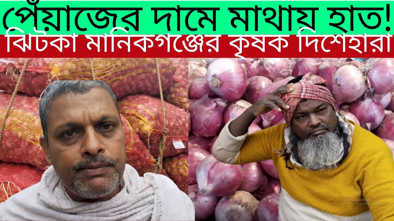 ঝিটকা মানিকগঞ্জে পেঁয়াজের দামে কৃষকের মাথায় হাত | Onion Price Crisis Bangladesh পেঁয়াজের দামে ভরা