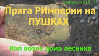 Пряга РИмперии на ПУШКАХ. Коп возле дома лесника в глуши.