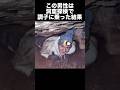 大学生が洞窟探検中に穴に挟まってしまった事件 事件解説 事故 洞窟 洞窟探検 大学生が洞窟探検中に穴に挟まってしまった事件 事件解説 事故 洞窟 洞窟探検