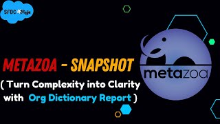 Metazoa - Snapshot (Turn Complexity into Clarity with Org Dictionary Report)