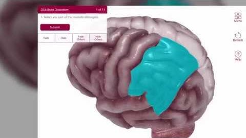 New Content: Visible Body Anatomy & Physiology 2018 Site License