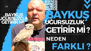 DOES OWL BRING FAILURE? / WHY IS THE OWL DIFFERENT? / Talha Uğurluel