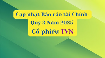 Cập nhật Báo cáo tài chính Quý 3 Năm 2025 của cổ phiếu TVN