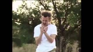 Jason Dill DVS Skate More
