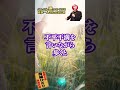 光の玉から教わったこと #shorts