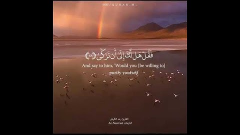 القارئ رعد الكردي - سورة النازعات - من الآية 15 إلى الآية 24