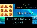 【スピッツ】オーロラになれなかった人のために ダイジェスト