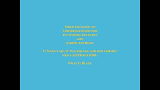 The Scar Chronicles Ming Lee And Mei Lees Zoo Animals - Closing Credits