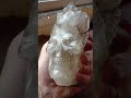 Skull Alligator Quartz super 5 1/4inches tall #gemquality