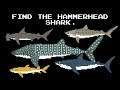 Find the Animals 2 - Sharks, Whales, Primates & More - The Kids' Picture Show (Learning Video)
