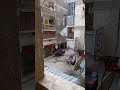 شقه دور اول بشارع الكومي بجوار مطعم الصالحين علي شارع الكومي نفسه 200 الف شقه دور اول بشارع الكومي بجوار مطعم الصالحين علي شارع الكومي نفسه 200 الف