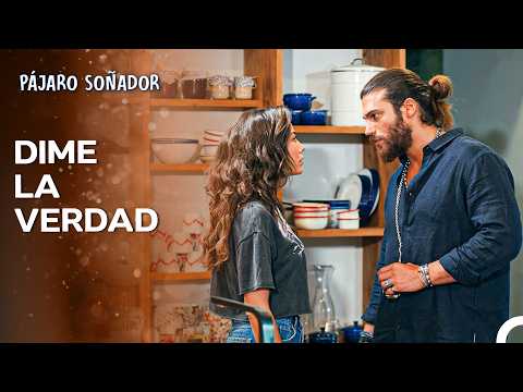 La Historia Del Albatros #37 - Pájaro Soñador