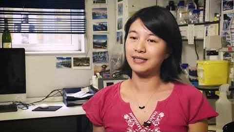 Yanlan Mao - Group Leader, MRC Career Development Fellow - UCL MRC LMCB