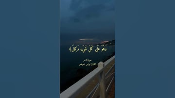 وَيُنَجِّي اللَّهُ الَّذِينَ اتَّقَوْا بِمَفَازَتِهِمْ || سورة الزمر || يونس اسويلص