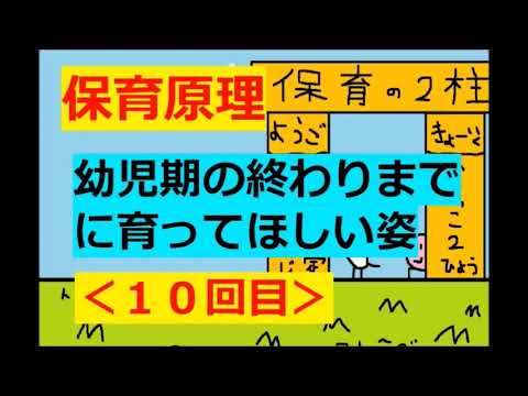 保育原理 全10巻セット 保育原理 全10巻セット