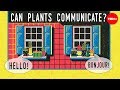 Can plants talk to each other? - Richard Karban