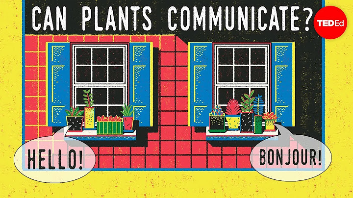 Can plants talk to each other? - Richard Karban