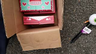 VALENTINE'S?!? Dollar Tree Dumpster Dive - Night 465