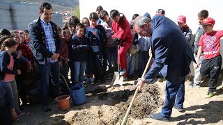 Dia Mundial Da Árvore - Agrupamento De Escolas Gomes Monteiro | 2019 | Boticas