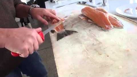 How to Fillet  Brown Trout   Tips and Techniques by Knifetechnz
