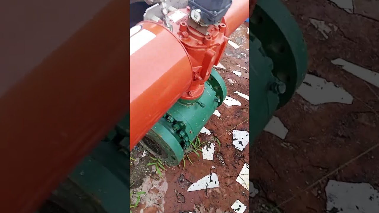 Shut Down Valve 10"X600 Rf And Rtj