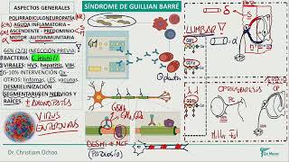 Neurología - Sd Guillian Barre  Otras Neuropatias perifericas y Trast Motores