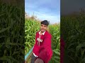 Farming Status Shorts 🌾❤️|| Farming Status #farming #khetibadi #villagelife