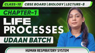 Class 10 Biology | Life Processes Lecture 8 | Human Respiratory System | UDAAN Batch EdufyHub