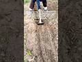 Still Day 2: After clearing out, we started making water drainage channels and loosening the soil