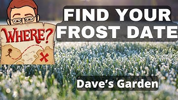 How to find my frost date using Dave