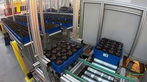 Small Plant Phenotyping Platform