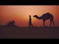كيفية استخدام وحفظ لبن الإبل