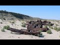 From Sea to Forest: Kazakhstan’s Historic Fight Against the Aral Sea Disaster