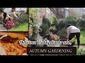 Getting Things Done InThe Garden + Christmas Decor +Dinner