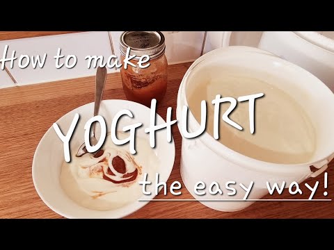 Homemade Yoghurt Recipe Australia