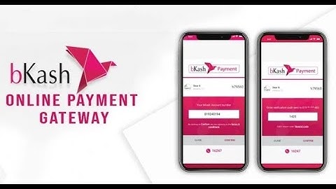 Bkash API  Bkash Sandbox API Response Test - বিকাশ API Response পাঠানোর পদ্ধতি Bkash Payment Gateway