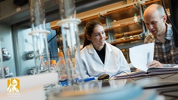 Undergraduate Research at UAlbany