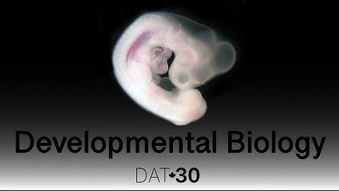 Developmental Biology: Induction & Competence
