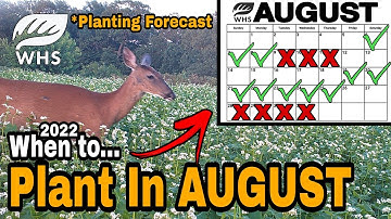 2022 August Food Plot Planting Forecast