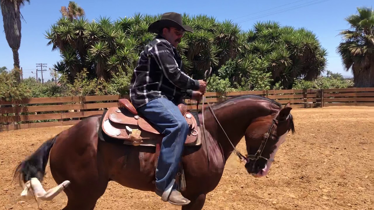 PARTE I Fleccionando para salir al galope y cambió de mano