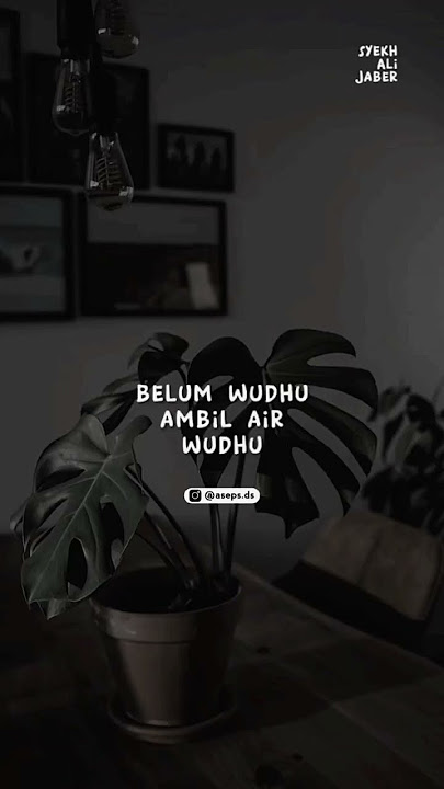Pendam amarahmu #motivasidiri #dirisendiri #motivasihidup #marah #fypシ゚ #storywa #syekhalijaber