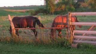 Video thumbnail of "Wild Horses by Mazzy Star "