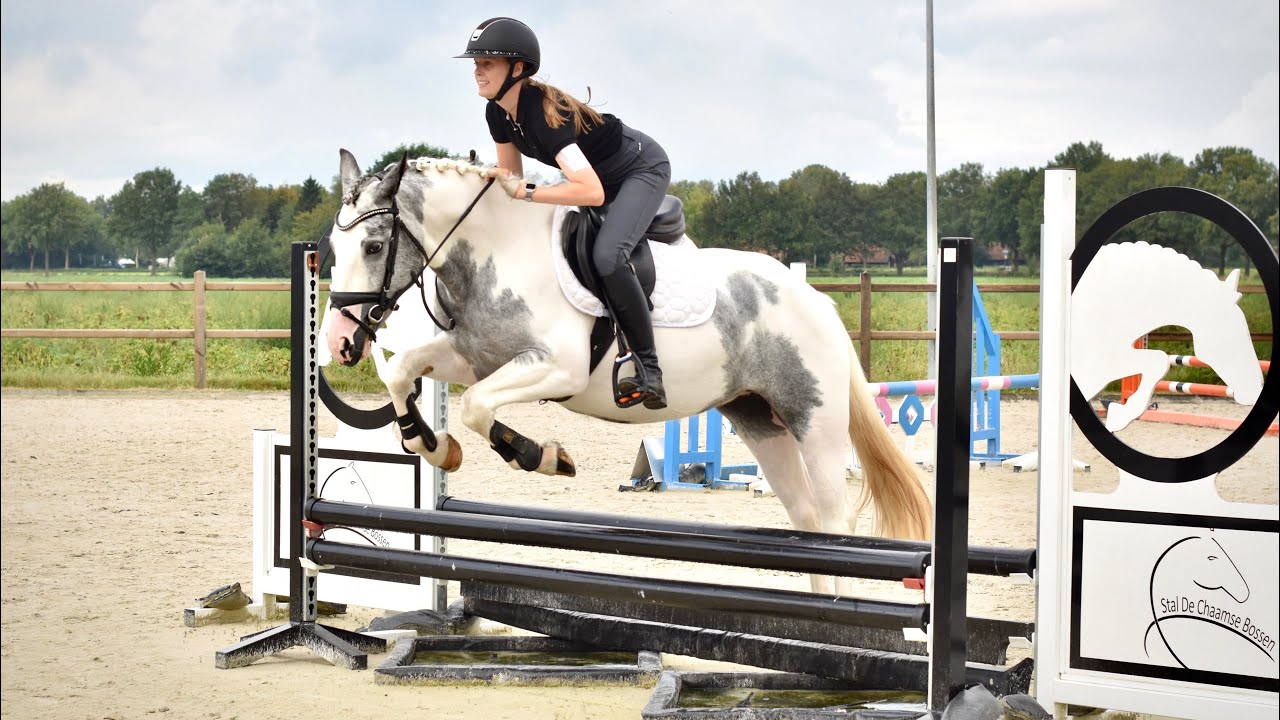 Beauty dressuur en springen || 3,5j allround D pony - YouTube