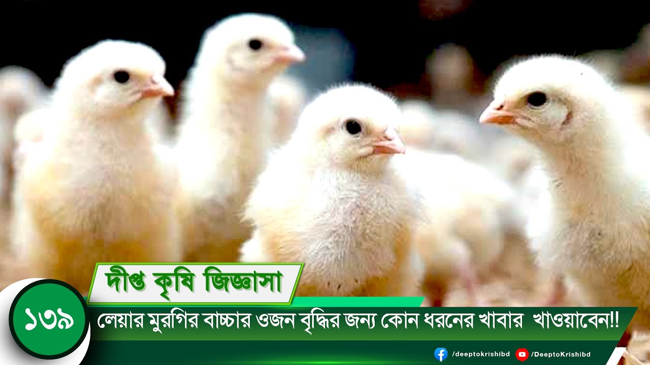 Portlash porno Fatvo xotin va er jinsiy pozitsiyalari