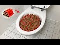 1000 firecrackers vs toilet