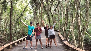 LIO FOREST WALK || Nangitag Unggoy sa Lasang || Palawan Vlog Ep 2