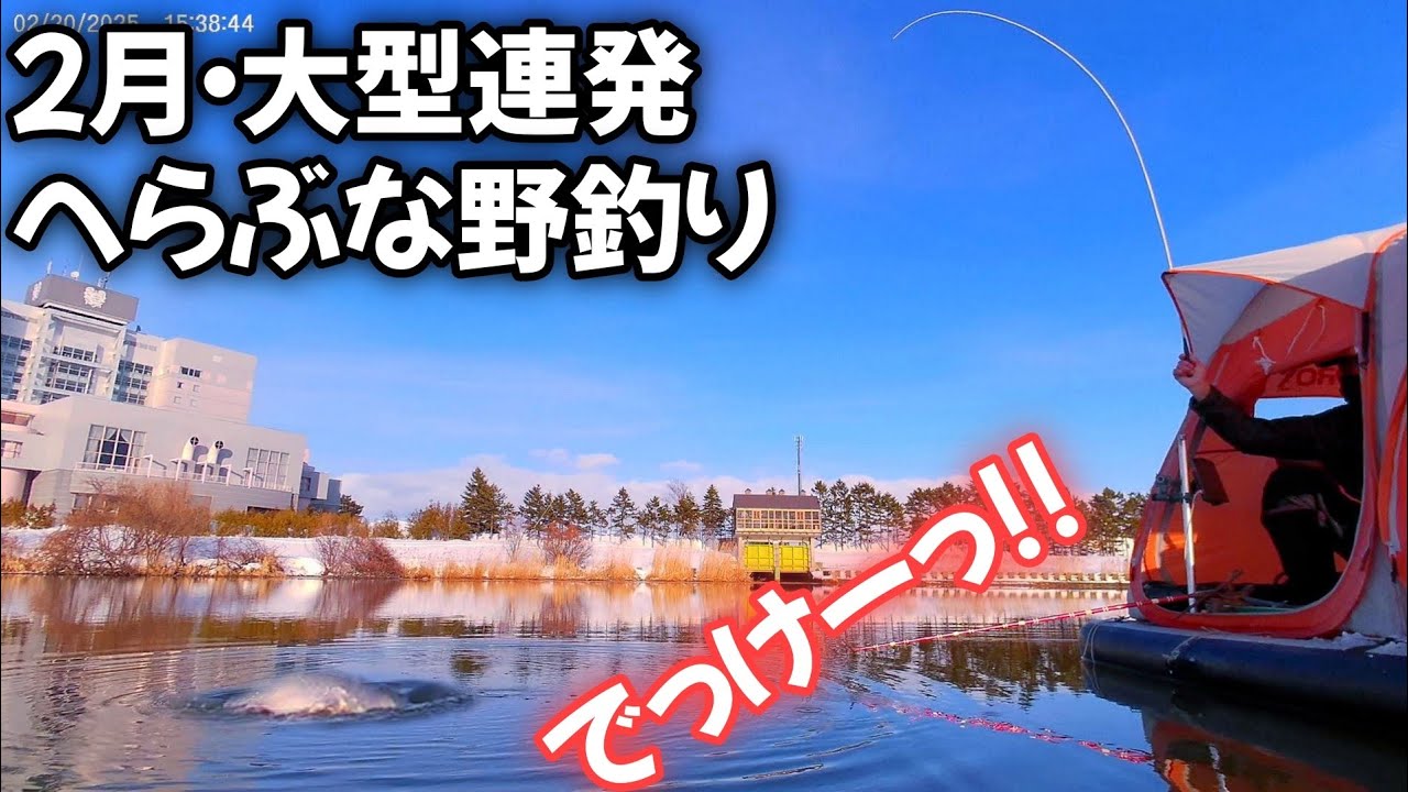 エレキで移動→40上大型連発へらぶな釣り 超絶C型ﾄｯﾌﾟ 米パン用グルテン 船外機 プロックス連結テント パセコストーブ 茨戸川 ガトーキングダムサッポロ